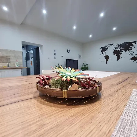 Apartment High Street Miskolc